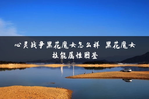 心灵战争黑花魔女怎么样 黑花魔女技能属性图鉴