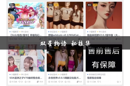 双星物语 秘技集