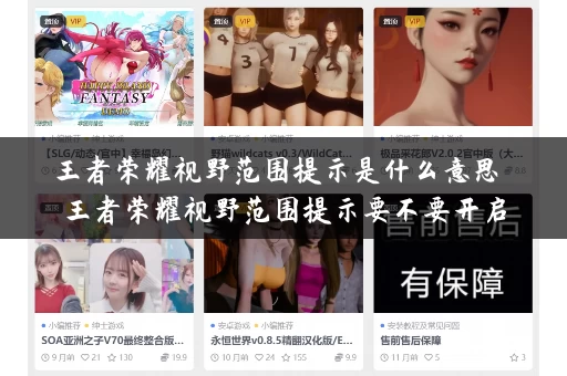 王者荣耀视野范围提示是什么意思 王者荣耀视野范围提示要不要开启