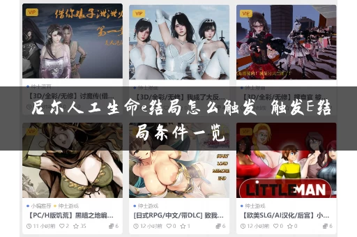 尼尔人工生命e结局怎么触发 触发E结局条件一览