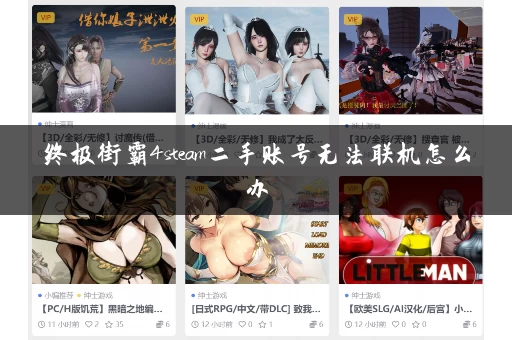 终极街霸4steam二手账号无法联机怎么办