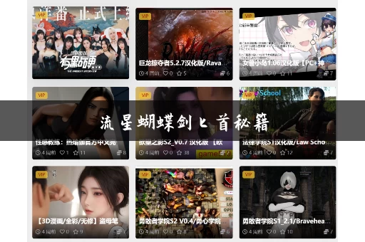 流星蝴蝶剑匕首秘籍