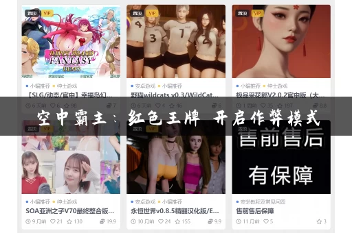 空中霸主：红色王牌 开启作弊模式