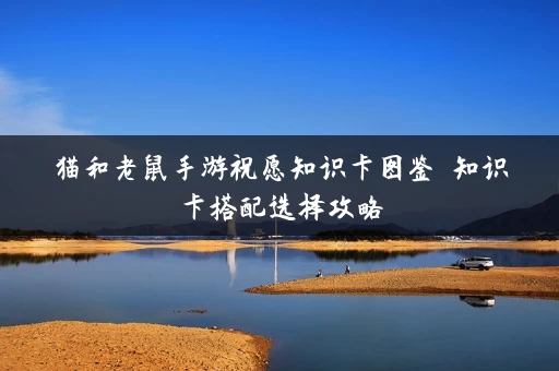 猫和老鼠手游祝愿知识卡图鉴 知识卡搭配选择攻略
