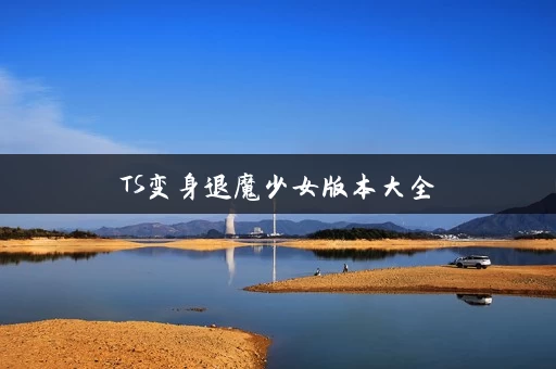 TS变身退魔少女版本大全