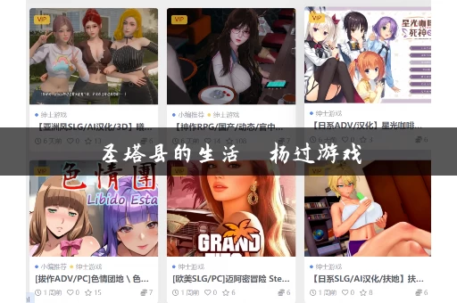 圣塔县的生活  杨过游戏