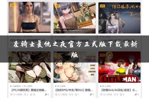 圣骑士复仇之夜官方正式版下载最新版 圣骑士复仇之夜官方正式版下载最新版