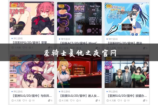 圣骑士复仇之夜官网