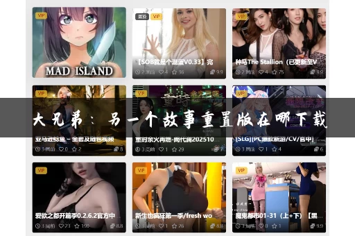 大兄弟：另一个故事重置版在哪下载