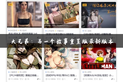 大兄弟：另一个故事重置版最新版本