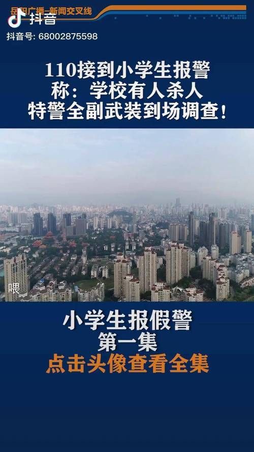 110模拟特警游戏下载教程，手把手教你快速安装！