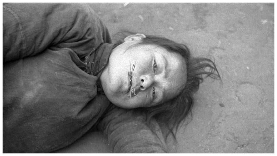 1942年河南大饥荒死了多少人？这组数据触目惊心！