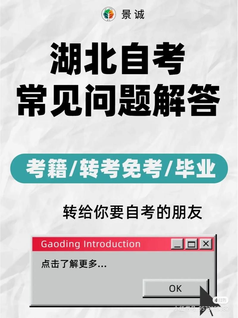 3.35数据库怎么用？实用技巧和常见问题解答！