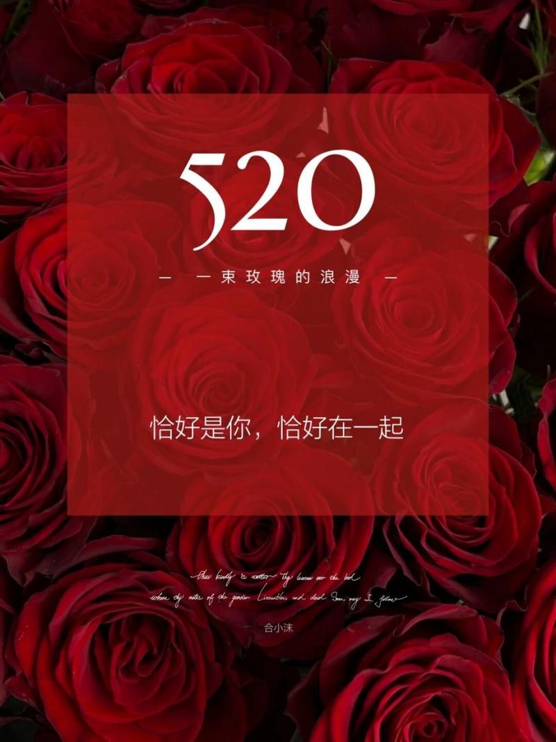 520图片大全来啦！浪漫氛围感就靠这些图了！
