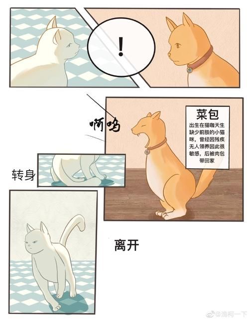 887是什么梗？为什么大家都说887？