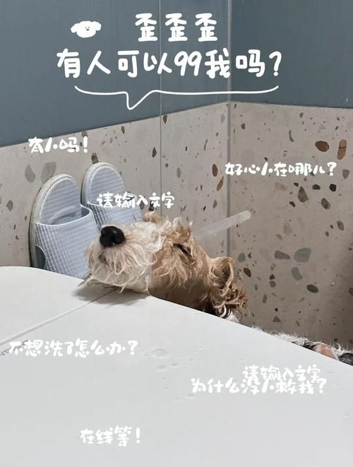 99是什么梗？为什么大家都说99？