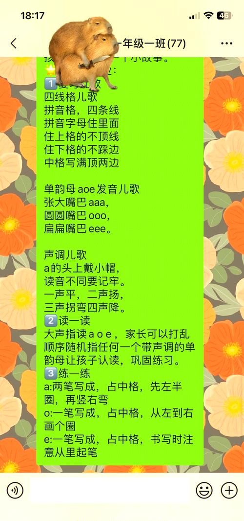 aoe是什么意思？学好拼音基础知识看这里！