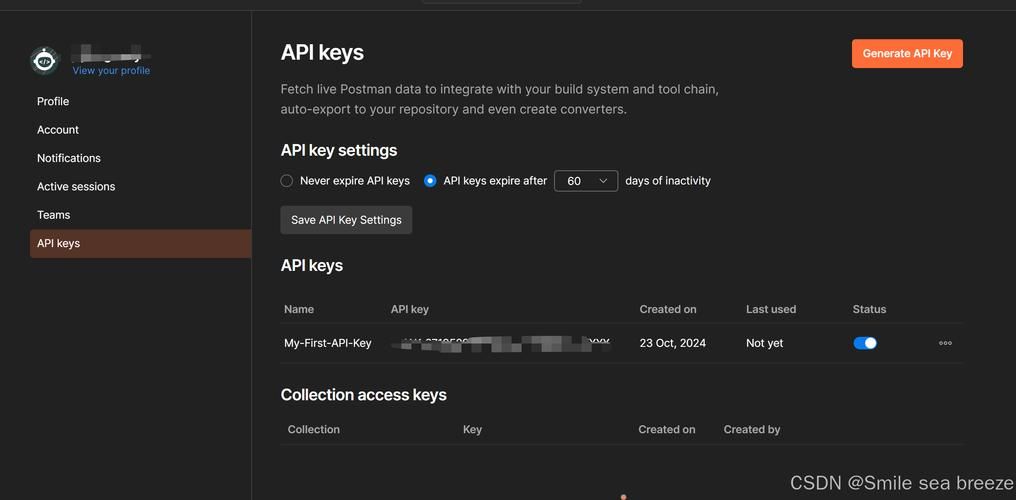 api key获取教程：手把手教你拿到你的密钥！