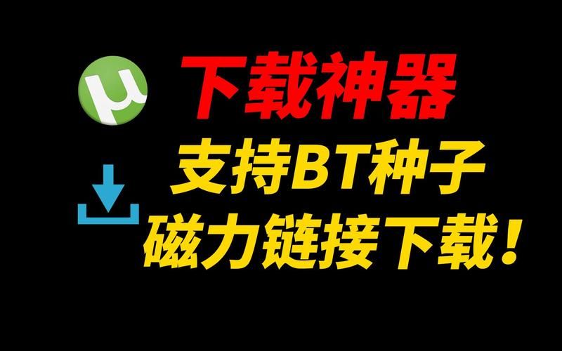 btdwallet下载后怎么用？超详细使用攻略来了！