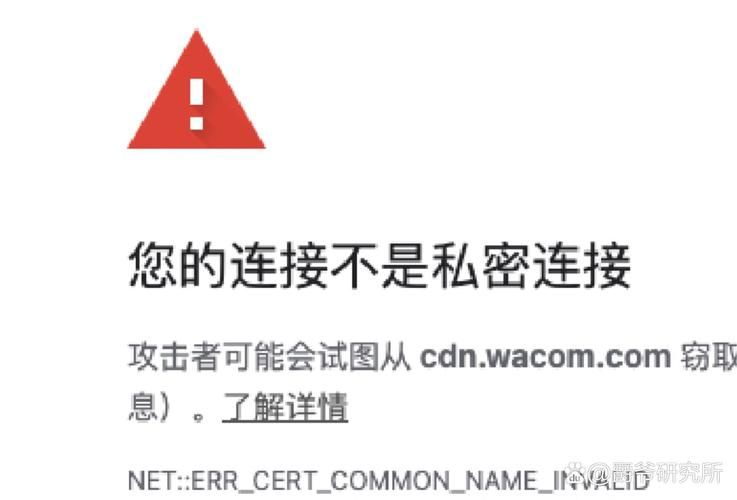 bt链接打不开怎么办？教你几招快速解决难题！