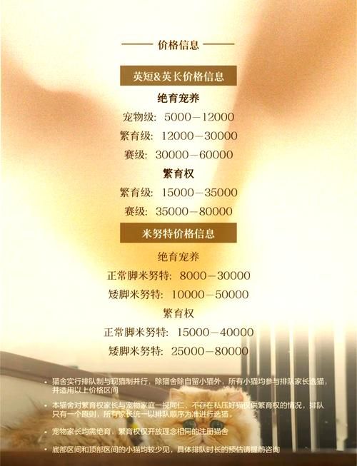 CFa认证猫舍怎么选？记住这几点不踩雷！