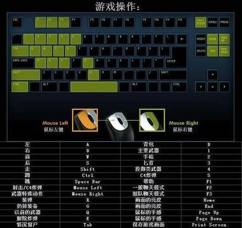 cf辅助瞄准怎么开？新手也能快速上手的教程！