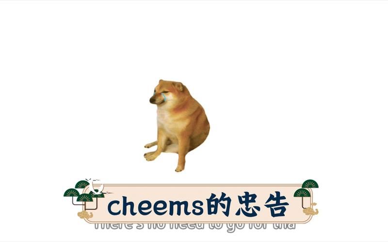 Cheif是什么意思？这个职位在公司里有多重要？