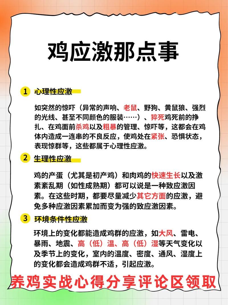 chicky小鸡容易生病吗？常见疾病预防与治疗！