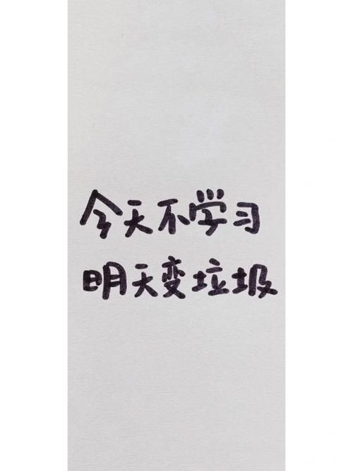 costudy是什么意思？这个学习搭子靠谱吗？