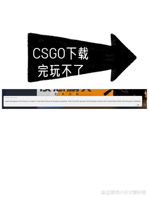 csgo启动选择框不见了？别慌，教你轻松搞定！