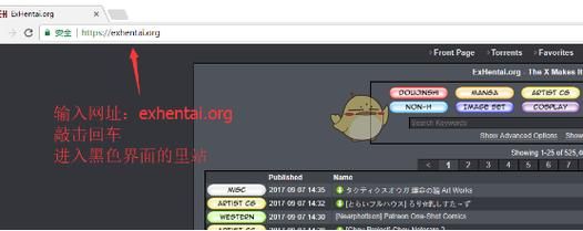 exhentai.org进不去怎么办？这几个常见原因要知道！