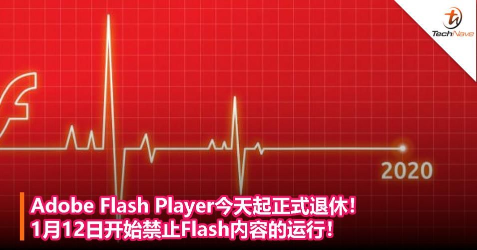 flash player安卓版怎么更新？最新版本升级攻略！