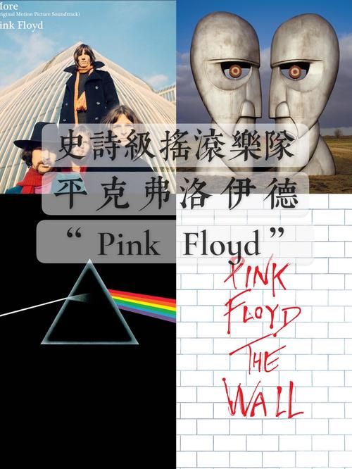 flocked是什么？看完这篇介绍你就全明白了！
