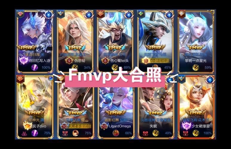 fmvp皮肤都是谁的？快来看看有你本命英雄吗？