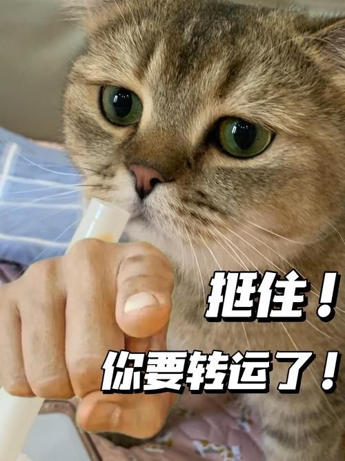 hamachi是什么软件？小白看完这篇文章就懂了！