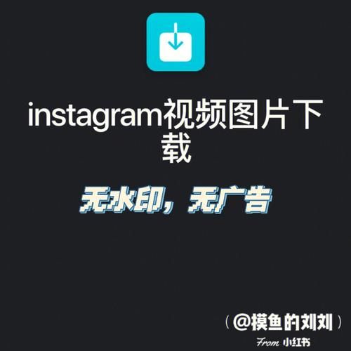 ins图片下载神器分享，批量下载不是梦！