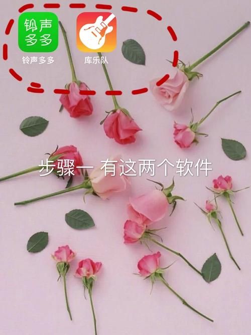 iponex怎么用？详细教程来了，手把手教你操作！