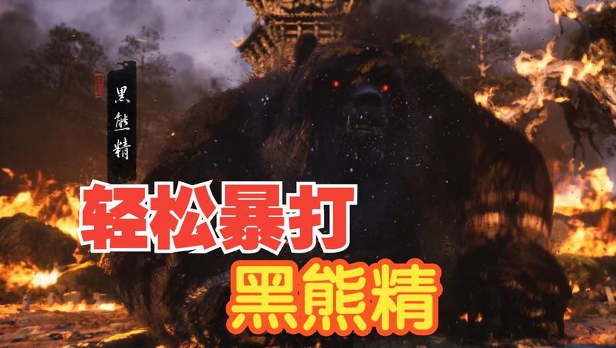 kokodayo是什么？萌新快速入门看这篇就够了！