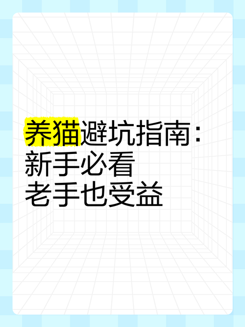 koshka猫好养吗？新手养猫避坑指南看这里！