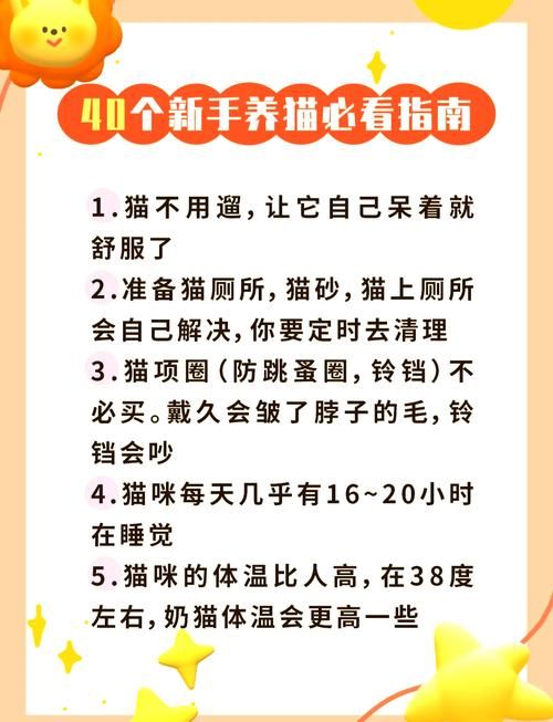 koshka猫好养吗？新手养猫避坑指南看这里！