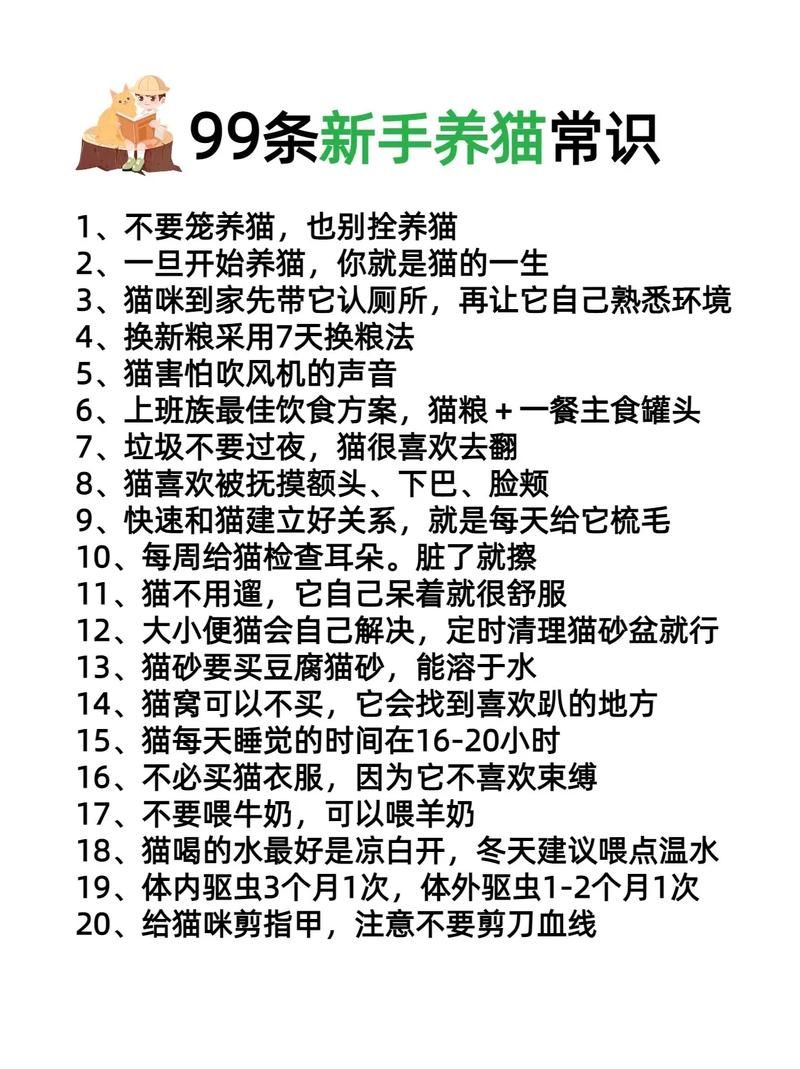 koshka猫好养吗？新手养猫避坑指南看这里！