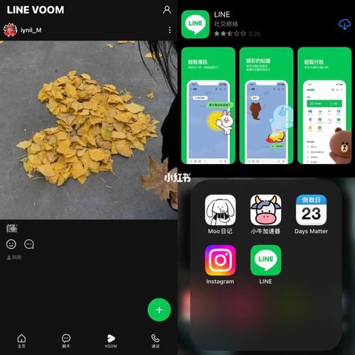 line app怎么加好友？多种方法快速添加联系人！