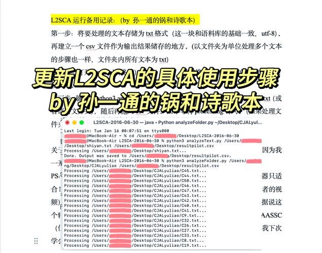 lsp框架怎么用？手把手教你快速上手操作！
