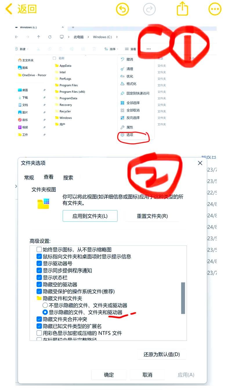 maneater闪退进不去游戏？解决方法一览！