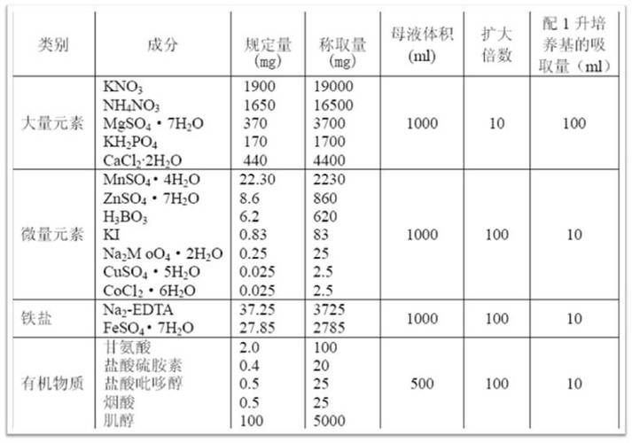 ms是什么意思？一文详解ms的多种含义！