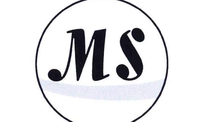 ms是什么意思？一文详解ms的多种含义！