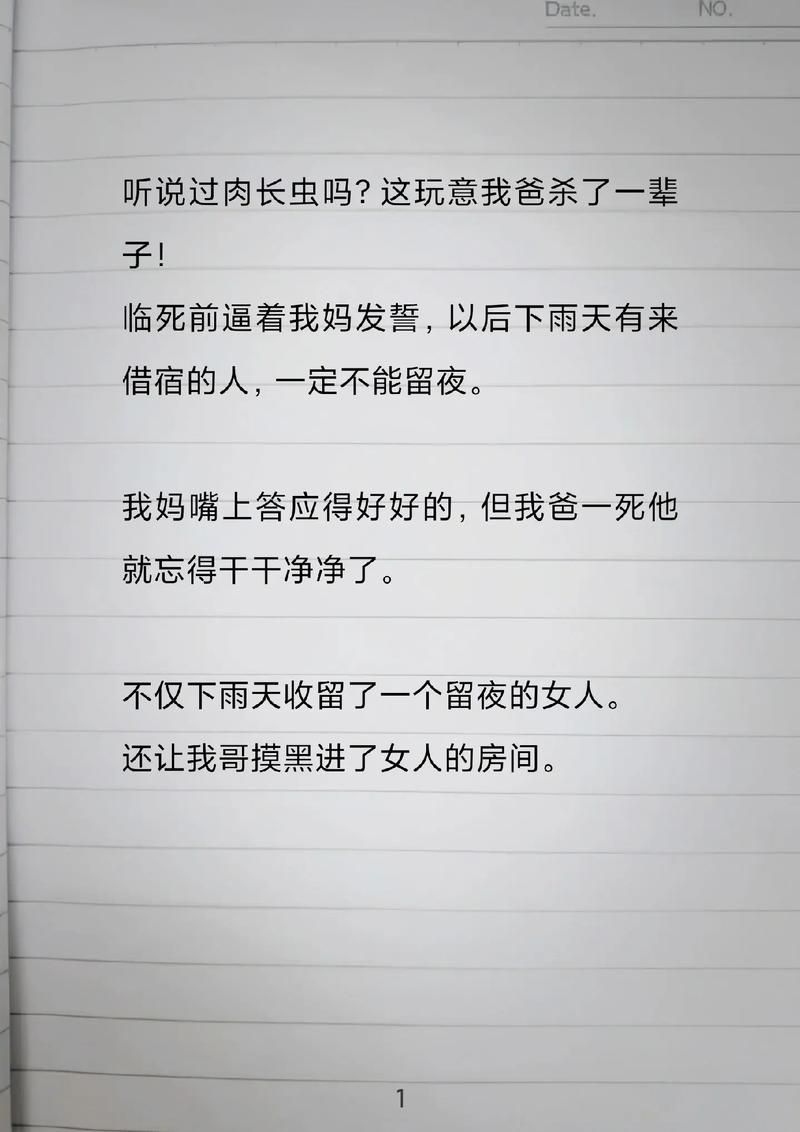 nh本子是什么？新手小白看这篇就够了！