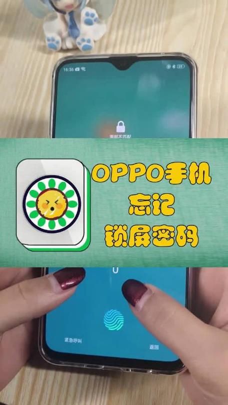 oppo账号登录中心手机版，随时随地管理账号！
