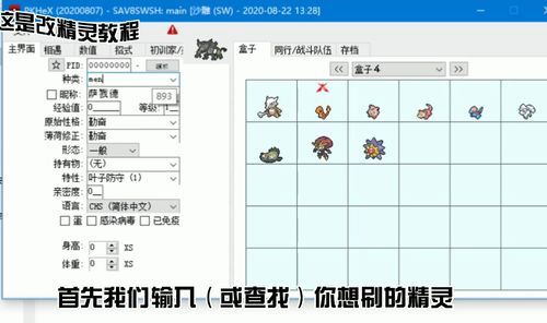 pkhex最新版下载地址，附安装使用教程！