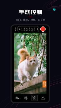 promovie正版免费下载看这里，官方渠道影迷必备！